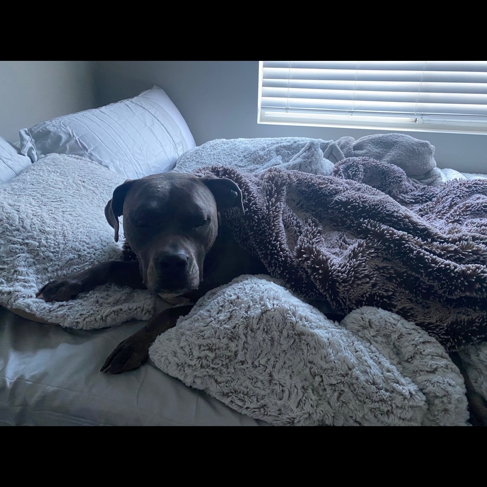 Meet your Posher, Jackie